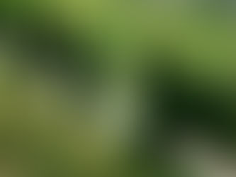 What Does a Luxury Destination Wedding Planner Actually Do? (Hint: Way More Than You Think)