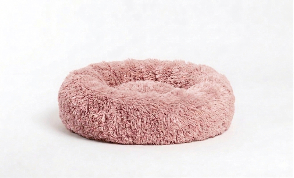 Thumbnail: The "Cloud-Nine" Calming Bed