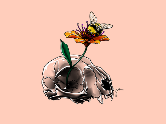 IMG-0260.PNG