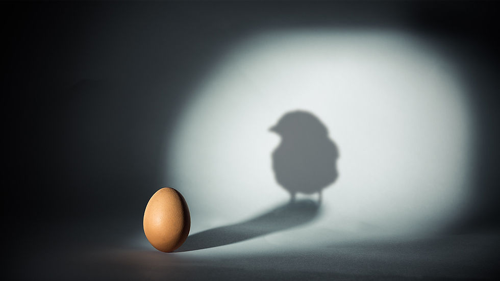 Shadow Boards: Bringing Next-Gen Talent Into Strategy
