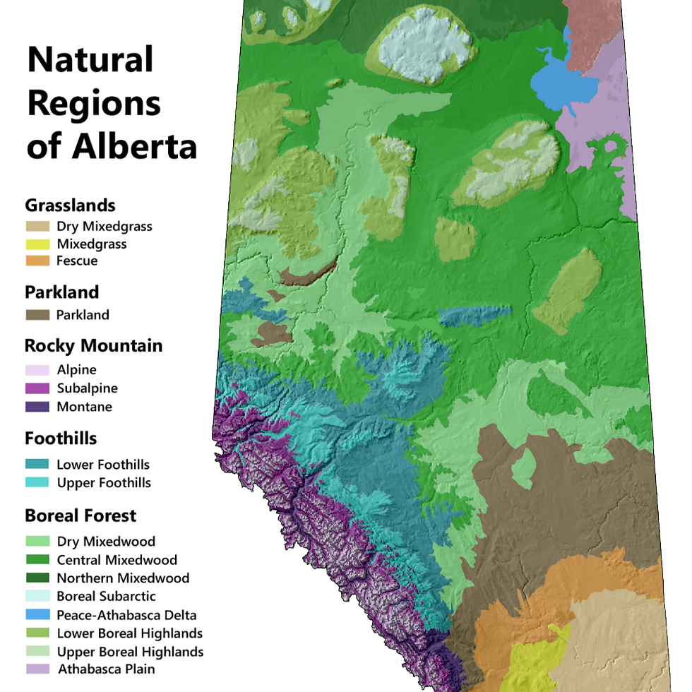 A map of ecoregions of Alberta