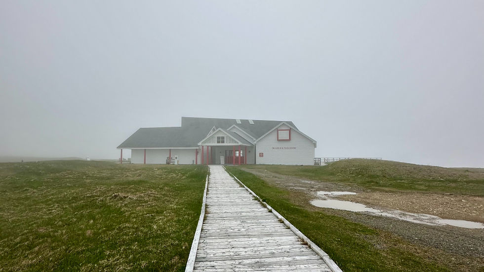 The interpretation centre at Cape St. Mary's engulfed in fog