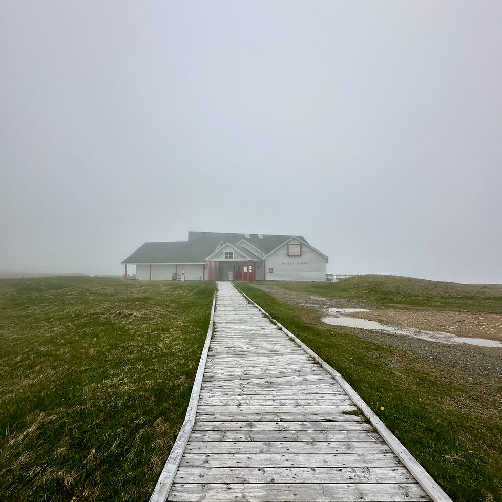 The interpretation centre at Cape St. Mary's engulfed in fog