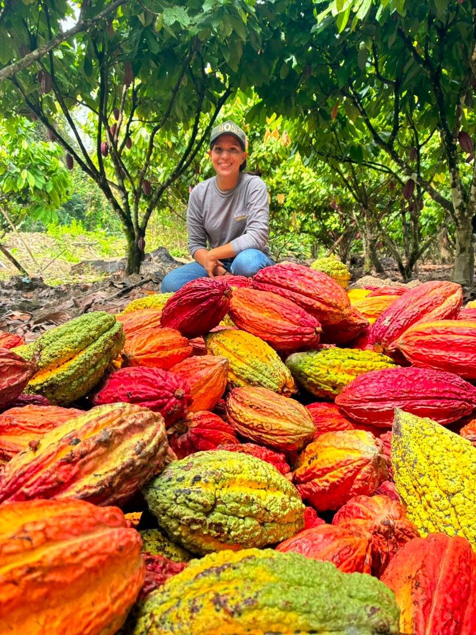 Eye-level view of cocoa beans drying on a single estate farm