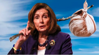 Funniest Things We Saw Today