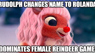 Funniest Things We Saw Today