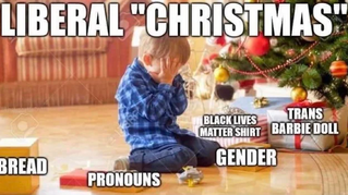 Funniest Things We Saw Today