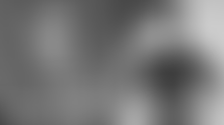 Funniest Things We Saw Today