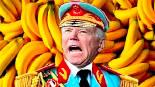 Funniest Things We Saw Today