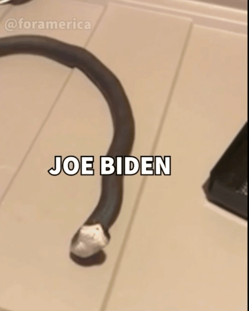 All talk, no action Joe