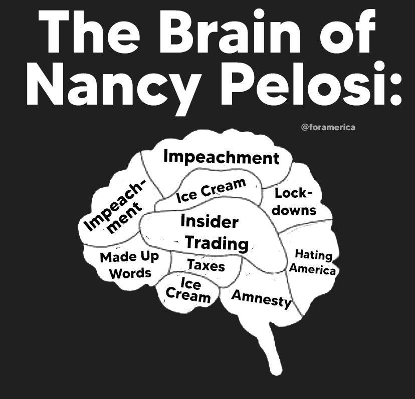 Once you get past all the mush in Nancy Pelosi's brain...