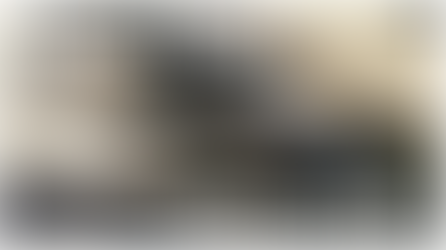 Funniest Things We Saw Today