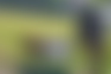 Funniest Things We Saw Today