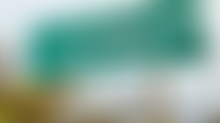 Funniest Things We Saw Today