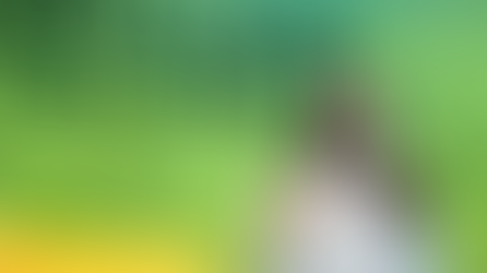 Funniest Things We Saw Today