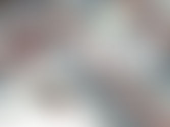 PAVING STONE - New Product