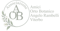Color Logo Completo_edited.png