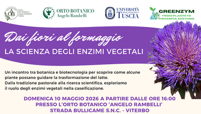 Dai fiori al formaggio
LA SCIENZA DEGLI ENZIMI VEGETALI