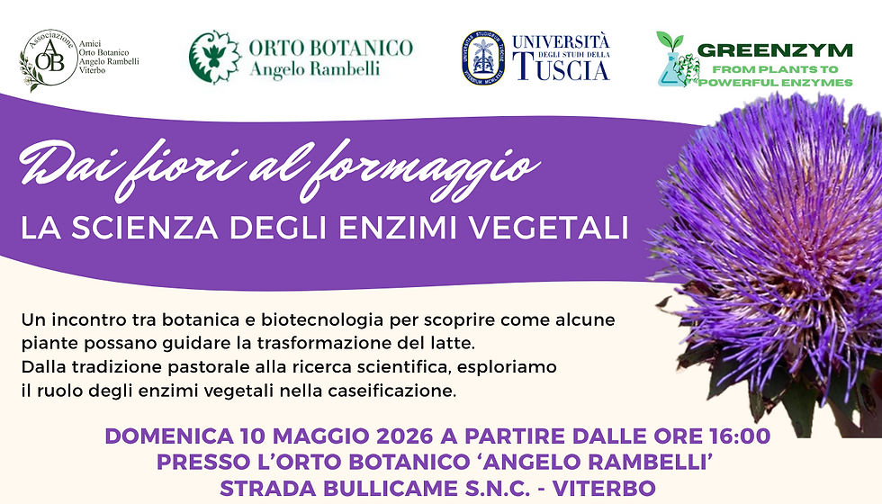 Dai fiori al formaggio
LA SCIENZA DEGLI ENZIMI VEGETALI