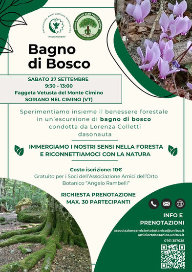 Bagno di Bosco - sabato 27 settembre 9:30-13:00