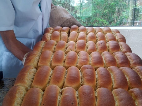 Conheça Visão Orgânica, nosso produtor Local!