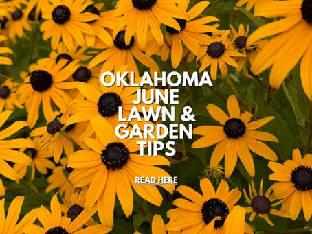 June Lawn & Garden Tips
