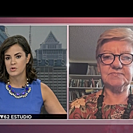 Psicoanálisis sobre la pandemia y sus efectosLa doctora Diana Larisgoita del Buenos Aires Counselin