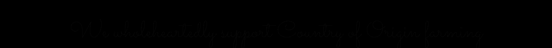handwritten 