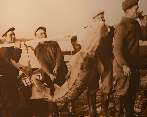 old image by mans and gigantic osetra