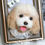 Thumbnail: Realistic Felted Dog Portrait