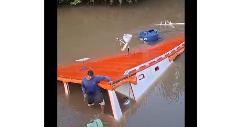 Embarcação com 60 búfalos naufraga em Soure e animais morrem afogados — Foto: TV Liberal