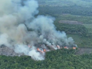 Incêndio de grandes proporções avança sobre área de mata e ameaça residências no Acará