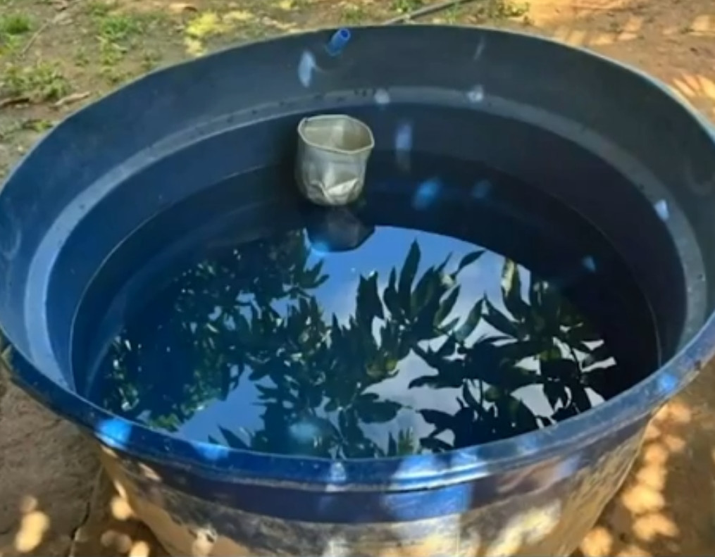 Bebê de 11 meses morre após se afogar em caixa d’água em Uruará — Foto: Jornal Tapajós