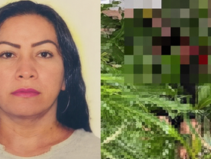 Mulher trans é morta a tiros na zona rural de Moju; Polícia Civil investiga o caso