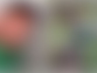 Jovem desaparecido é encontrado morto em área de mata em Castanhal, no Pará
