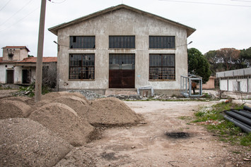 IMG_8326_new_300dpi.jpeg