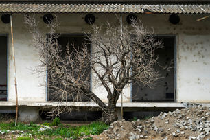 Yücel Tunca_sumerbank_05_dsc08855.jpeg