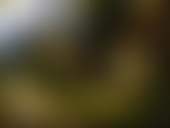 Ein Dorf am Rande der Berge.