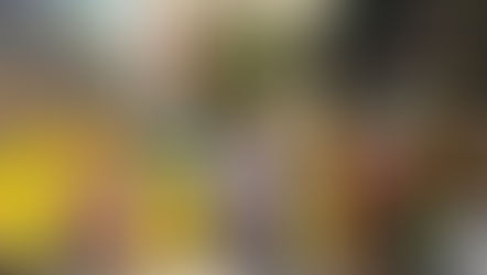 The students of Stanley College, attended the prestigious Telangana Rising Global Summit organized by the Government of Telangana