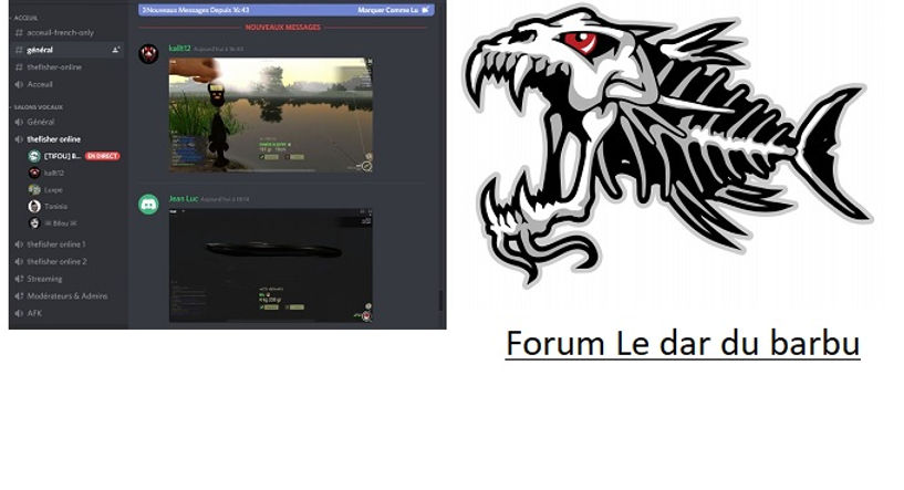 image disc et fo.jpg