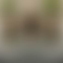 Viaggio di lusso a Marrakech: 10 esperienze uniche tra riad esclusivi, spa di charme e servizi tailor-made