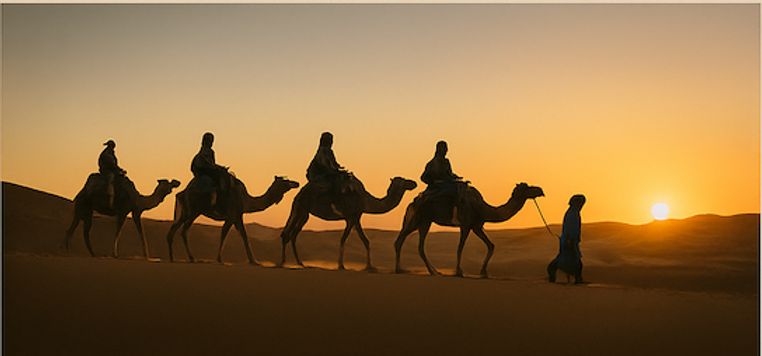 Schermata 2025-11-15 alle 18.16.35.png