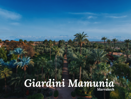 Giardini Mamunia: Oasi Verde di Marrakech tra Lusso e Tradizione