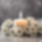 candle with white flowers around it.jpg