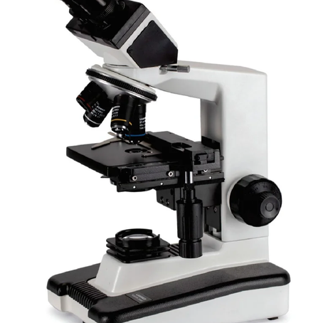 microscope AFSO live coursework