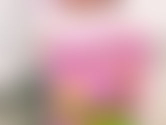 Clube de leitura do Brincar e Aprender: O rato Renato vai ter um irmão 