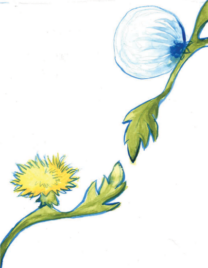 Referencing Michelangelo's Creation of Adam