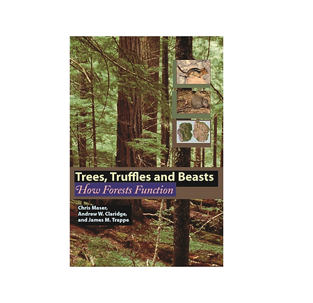 trees truffles.png