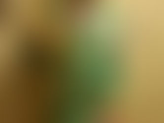 DIY Halloween Costume