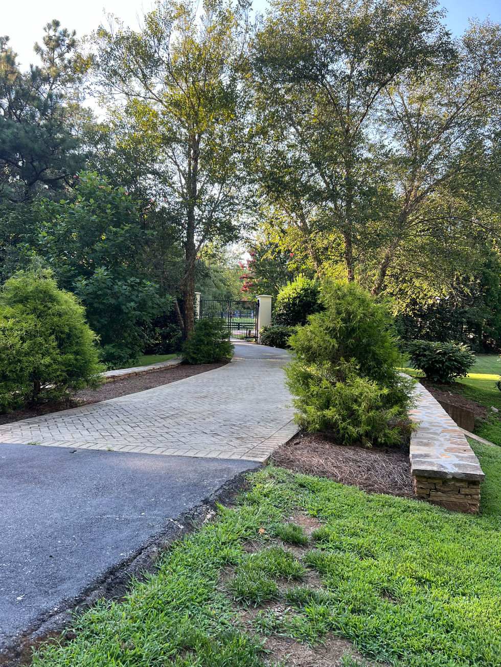 a driveway that is surrounded by trees and bushes